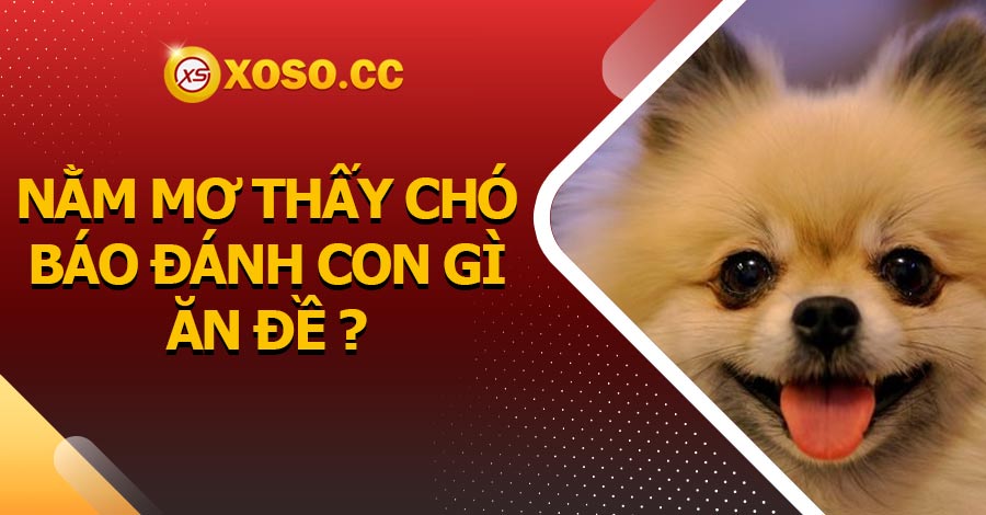 Nằm mơ thấy chó báo đánh con gì ăn đề?