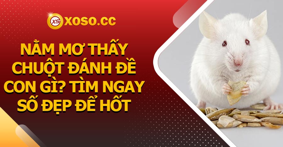 Nằm mơ thấy chuột đánh đề con gì? Tìm ngay số đẹp để hốt thưởng lớn 3 Nằm mơ thấy chuột đánh đề con gì? Tìm ngay số đẹp để hốt thưởng lớn