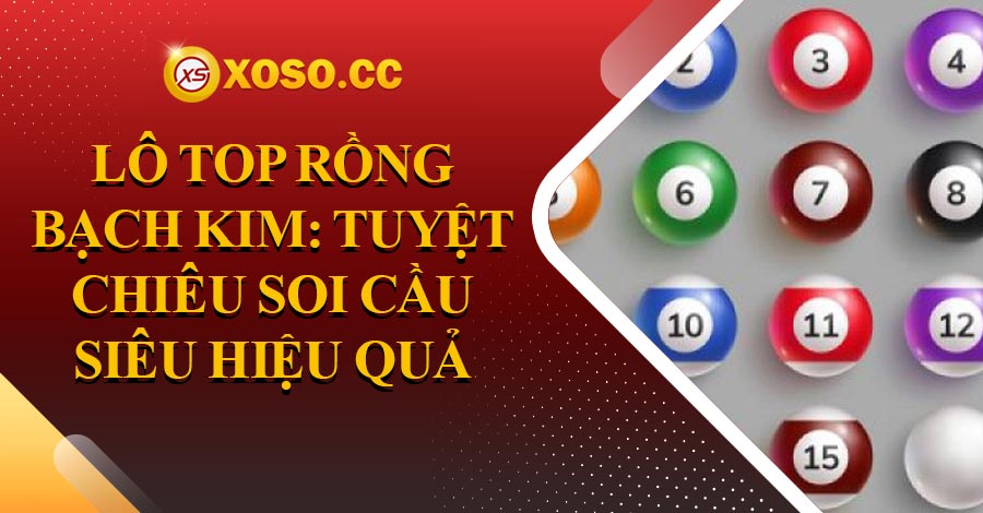 Lo-Top-Rong-Bach-Kim-hinh-dai-dien