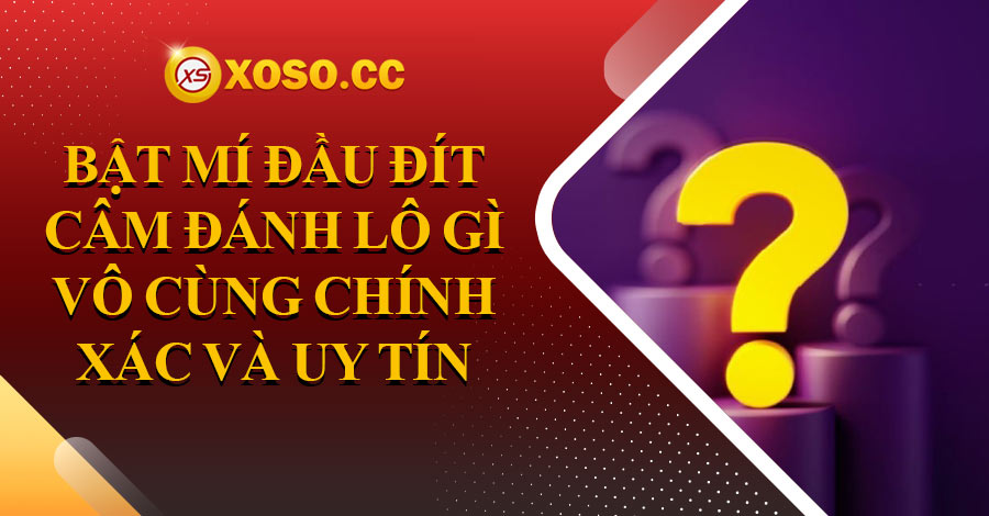 Bật mí đầu đít câm đánh lô gì vô cùng chính xác và uy tín 3 Đầu đít câm đánh lô con gì