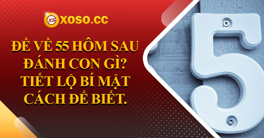de-ve-55-hom-sau-danh-con-gi
