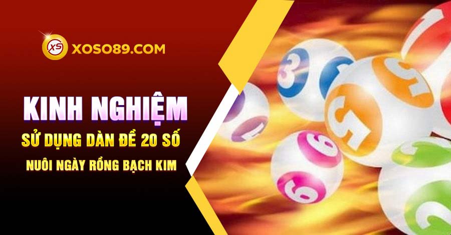 Kinh nghiệm sử dụng dàn đề 20 số nuôi ngày rồng bạch kim 5 Kinh nghiệm sử dụng dàn de 20 số nuôi ngày rồng bạch ki