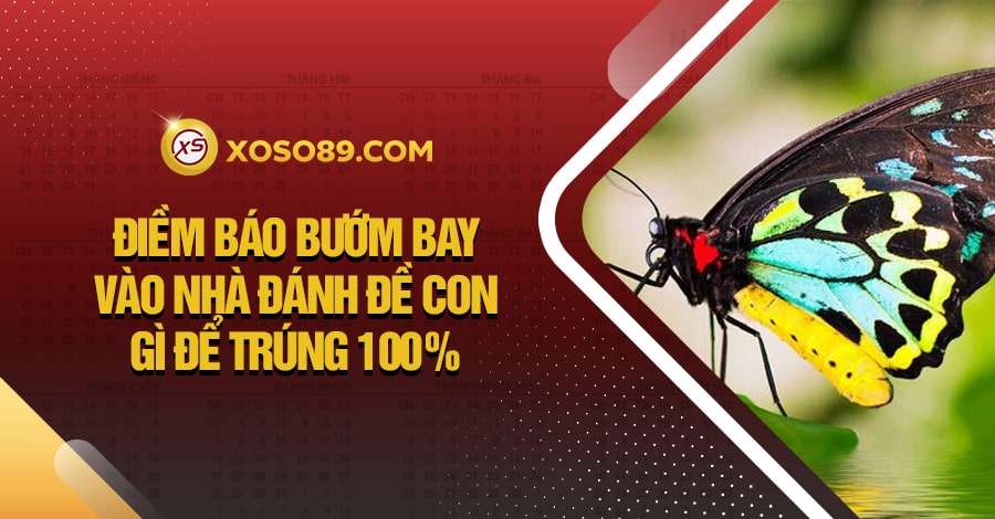 Điềm báo bướm bay vào nhà đánh đề con gì để trúng 100% 3 Điềm báo bướm bay vào nhà đánh đề con gì để trúng 100%