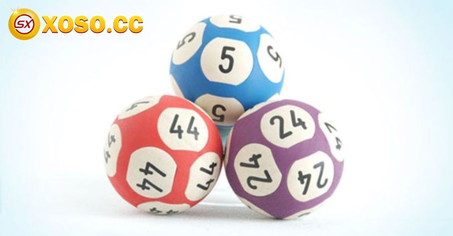 Bí kíp đánh lô gan - Mẹo truyền tai nhau từ các cao thủ 11 Lưu ý nên bỏ túi khi đánh lô gan