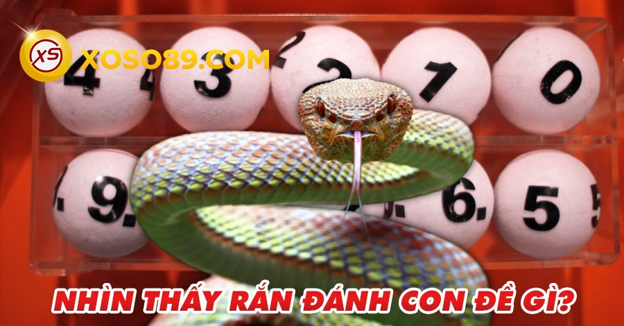 Giải đáp câu hỏi: Nhìn thấy rắn đánh con đề gì trúng 100% 6 Giải đáp câu hỏi: Nhìn thấy rắn đánh con đề gì trúng 100%