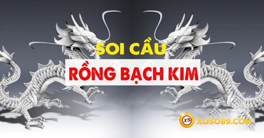 Soi cầu rồng bạch kim kết hợp với lô lên top 